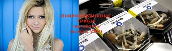 героин Михайлов