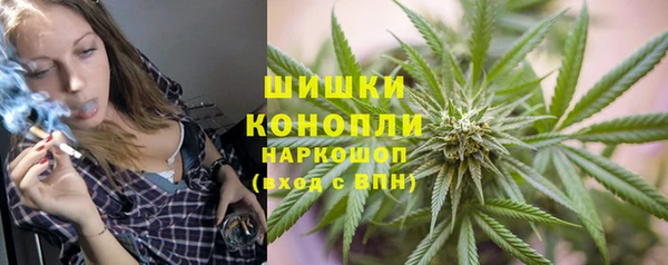 мдпв Аша