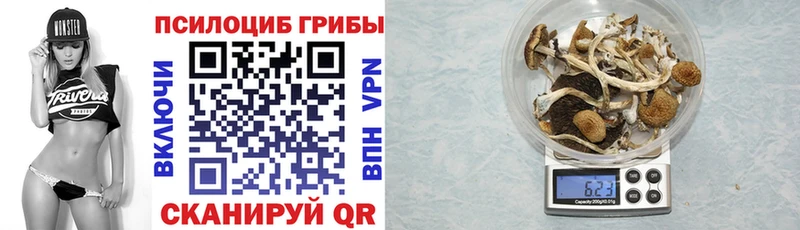что такое   KRAKEN как зайти  Галлюциногенные грибы Cubensis  это Telegram  Всеволожск 
