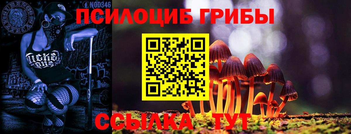 Псилоцибиновые грибы MAGIC MUSHROOMS  Вход с VPN  Всеволожск 