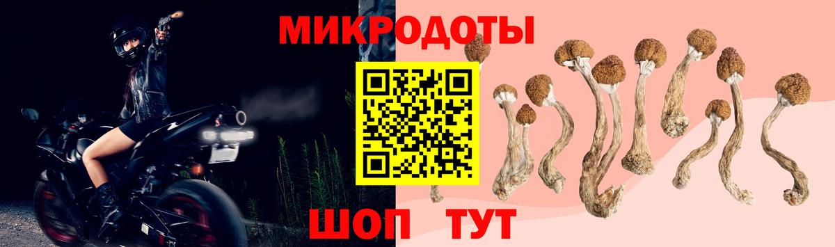 Галлюциногенные грибы Magic Shrooms Всеволожск
